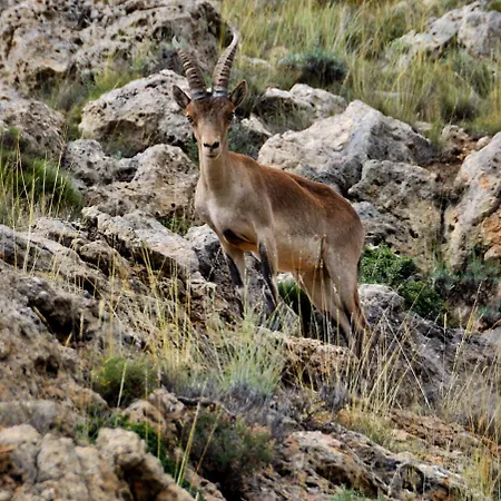 Rurales Sierra De 酒店