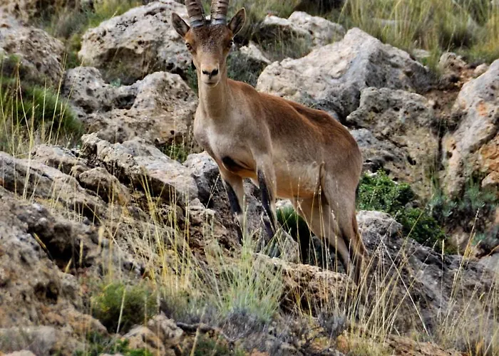 Rurales Sierra De Ξενοδοχείο
